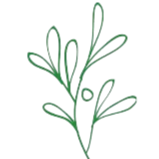 Herbicides
