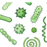 Fungicides
