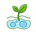 Biostimulants